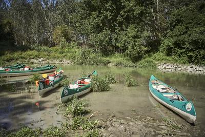 Szigetköz-stock-foto