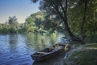 Szigetköz-stock-foto