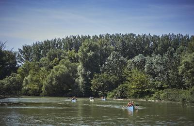 Szigetköz-stock-foto