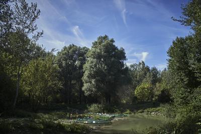 Szigetköz-stock-foto