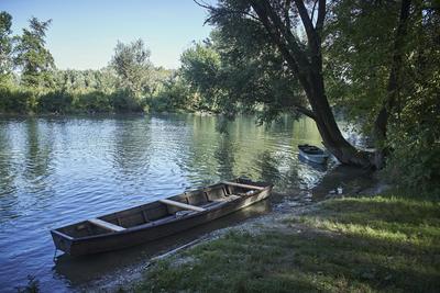 Szigetköz-stock-foto