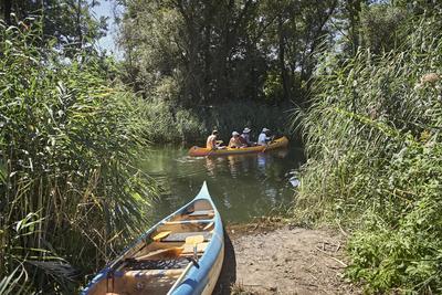 Szigetköz-stock-foto