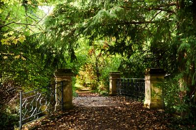 Alcsúti Arborétum, Alcsútdoboz-stock-foto