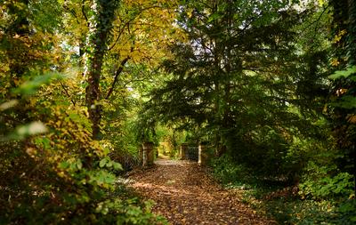 Alcsúti Arborétum, Alcsútdoboz-stock-foto