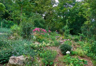 Pannonhalma-stock-foto