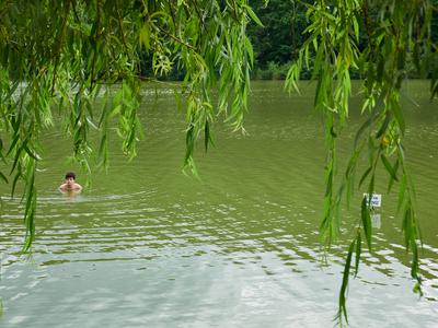 Kistolmácsi-tó-stock-foto