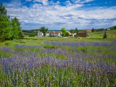 Pannonhalma-stock-foto