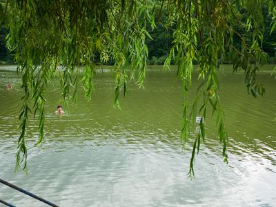 Kistolmácsi-tó-stock-foto