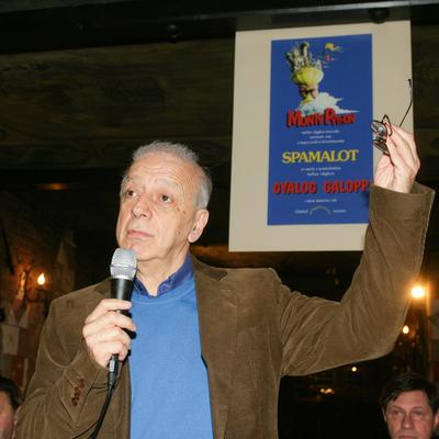 Jön a Spmalot musical!-stock-foto