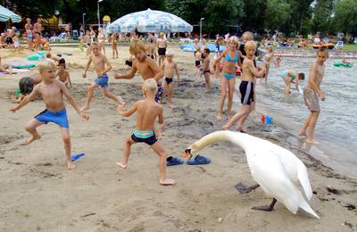 Balaton-stock-foto