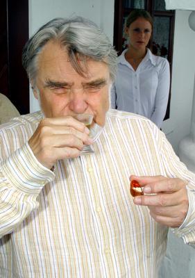 Balatoni Hal- és Borfesztivál-stock-foto