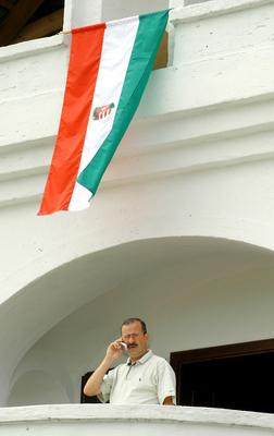 Balatoni Hal- és Borfesztivál-stock-foto