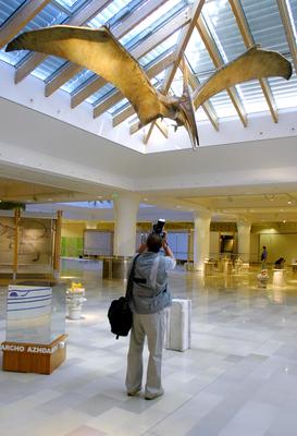 Tollas dinoszauruszok - 124 millió éves leletek Kínából-stock-foto