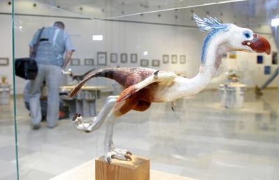 Tollas dinoszauruszok - 124 millió éves leletek Kínából-stock-foto