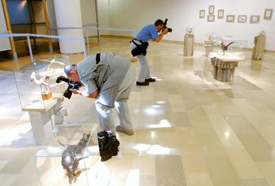 Tollas dinoszauruszok - 124 millió éves leletek Kínából-stock-foto