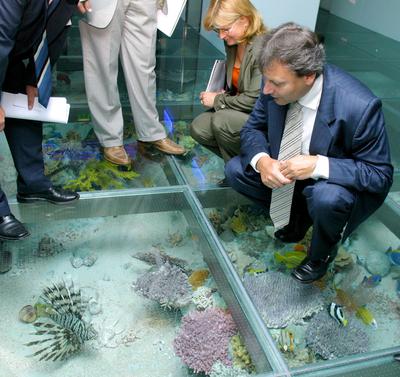 Tollas dinoszauruszok - 124 millió éves leletek Kínából-stock-foto