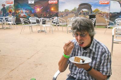 Szigetfesztivál 2009-stock-foto