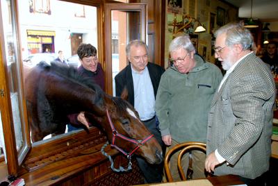 Bemutatták Farkasházi Tivadar Ír úr című könyvét-stock-foto