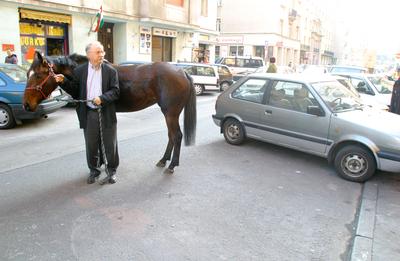 Bemutatták Farkasházi Tivadar Ír úr című könyvét-stock-foto