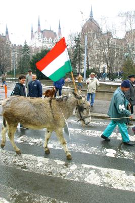 Agrárdemonstráció a Kossuth téren-stock-foto