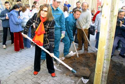 Faültetés a Föld Napja alkalmából-stock-foto