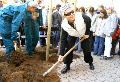 Faültetés a Föld Napja alkalmából-stock-foto