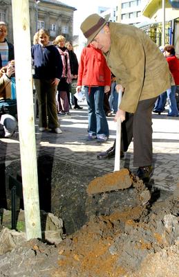 Faültetés a Föld Napja alkalmából-stock-foto