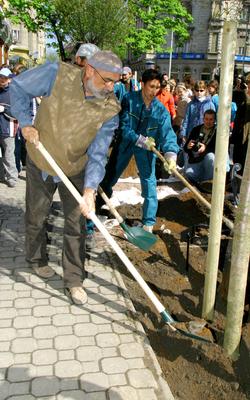 Faültetés a Föld Napja alkalmából-stock-foto