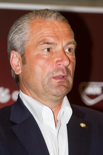 Hazaérkezett a magyar labdarúgó-válogatott a Franciaországi EB-ről-stock-foto