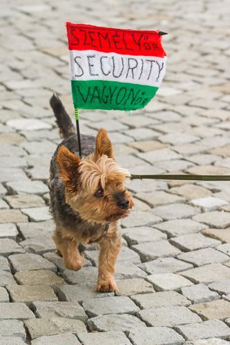 Hazaérkezett a magyar labdarúgó-válogatott a Franciaországi EB-ről-stock-foto