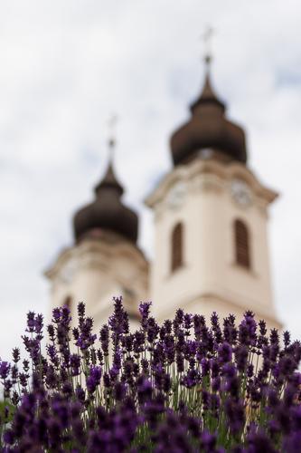 A Tihanyi Bencés Apátság levendulával az előtérben-stock-photo