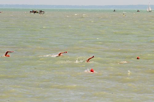 Fina Masters nyíltvízi úszó világbajnokság-stock-foto