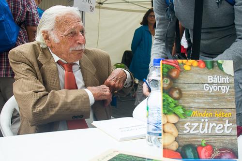 Pozsonyi Piknik-stock-foto