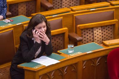 Politika - Határozatképtelen volt a rendkívüli ülés a Parlamentben-stock-foto