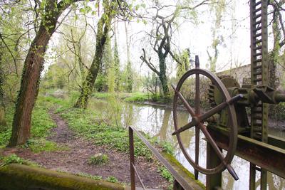 Kámoni Arborétm, Szombathely-stock-foto