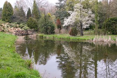 Kámoni Arborétm, Szombathely-stock-foto