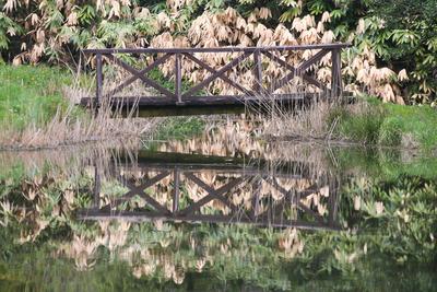 Kámoni Arborétm, Szombathely-stock-foto