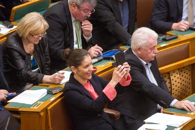 Politika - Országgyűlés-stock-foto