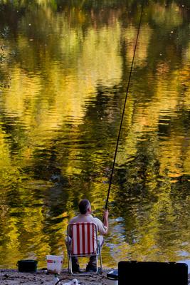 Õszi tájképek Budatétény Hárosnál.2012.10.21.Fotó:Vörös Szilárd-stock-foto