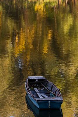 Õszi tájképek Budatétény Hárosnál.2012.10.21.Fotó:Vörös Szilárd-stock-foto