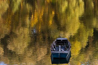 Õszi tájképek Budatétény Hárosnál.2012.10.21.Fotó:Vörös Szilárd-stock-foto