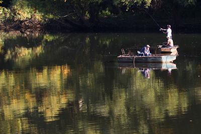 Õszi tájképek Budatétény Hárosnál.2012.10.21.Fotó:Vörös Szilárd-stock-foto