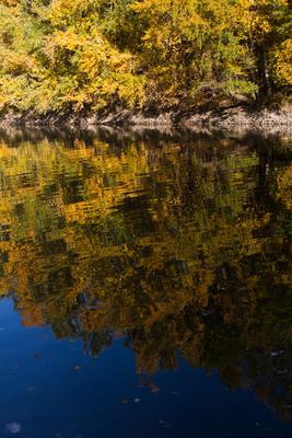Õszi tájképek Budatétény Hárosnál.2012.10.21.Fotó:Vörös Szilárd-stock-foto