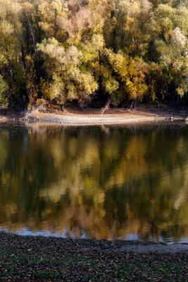 Õszi tájképek a Hárosi-öbölben.2021.11.11.Fotó:Vörös Szilárd-stock-foto