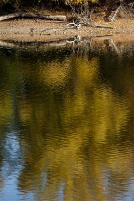 Õszi tájképek a Hárosi-öbölben.2021.11.11.Fotó:Vörös Szilárd-stock-foto