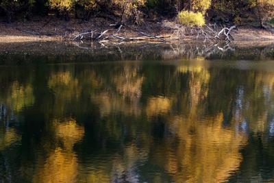 Õszi tájképek a Hárosi-öbölben.2021.11.11.Fotó:Vörös Szilárd-stock-foto