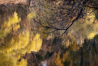 Õszi tájképek a Hárosi-öbölben.2021.11.11.Fotó:Vörös Szilárd-stock-foto
