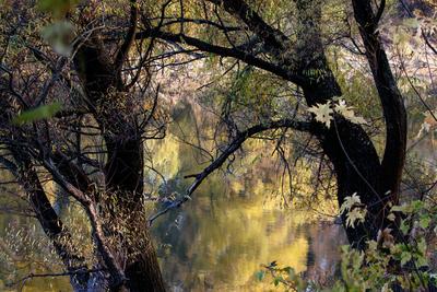 Õszi tájképek a Hárosi-öbölben.2021.11.11.Fotó:Vörös Szilárd-stock-foto