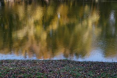 Õszi tájképek a Hárosi-öbölben.2021.11.11.Fotó:Vörös Szilárd-stock-foto