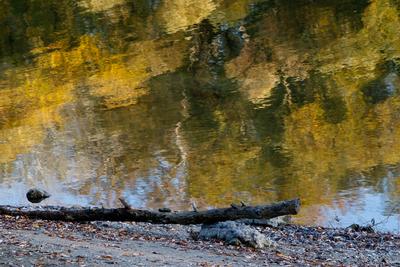 Õszi tájképek a Hárosi-öbölben.2021.11.11.Fotó:Vörös Szilárd-stock-foto